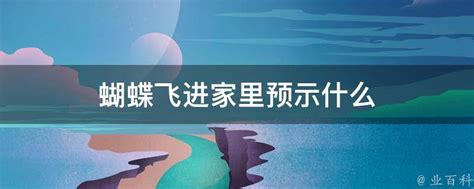 造字法則查詢 蝴蝶飞进家里万字